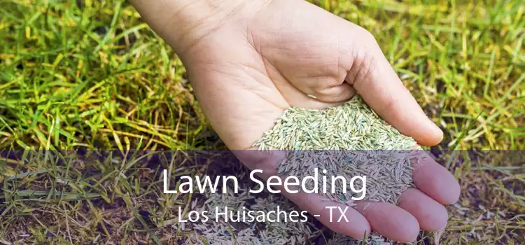 Lawn Seeding Los Huisaches - TX