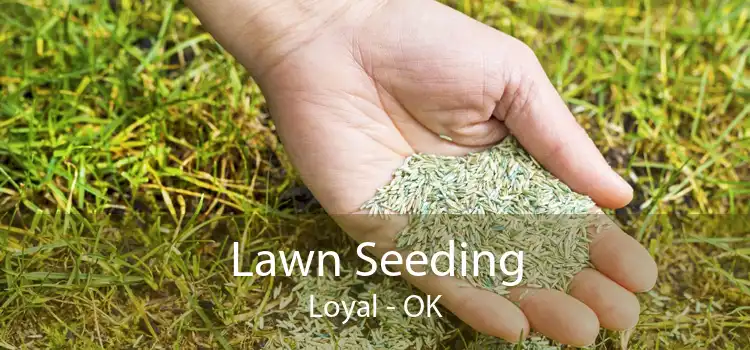 Lawn Seeding Loyal - OK
