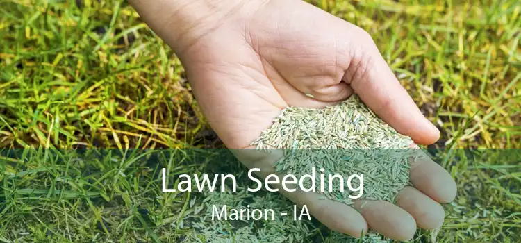 Lawn Seeding Marion - IA