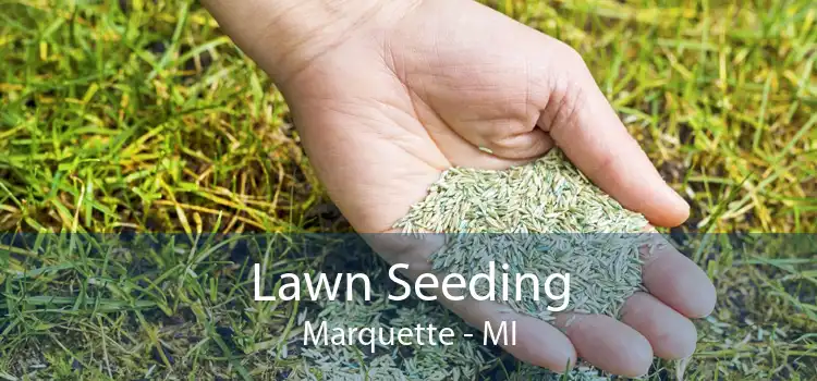 Lawn Seeding Marquette - MI