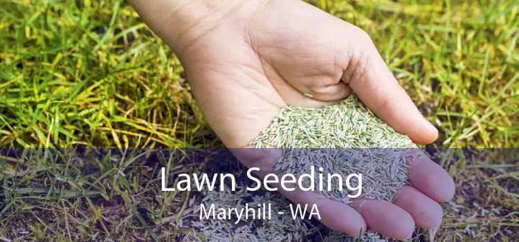 Lawn Seeding Maryhill - WA