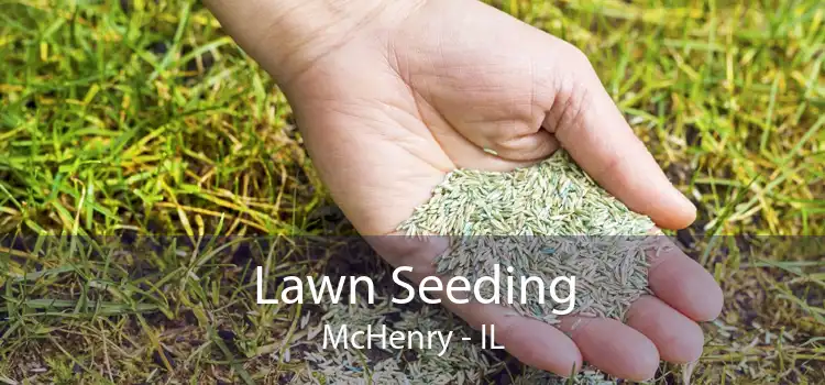 Lawn Seeding McHenry - IL