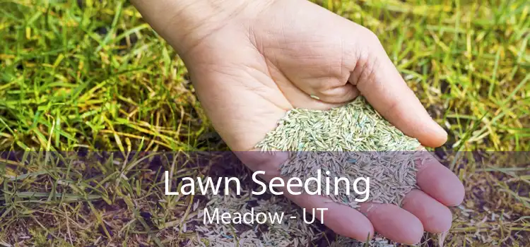 Lawn Seeding Meadow - UT