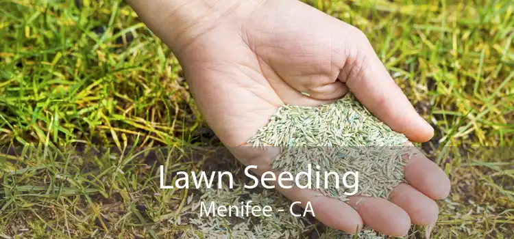 Lawn Seeding Menifee - CA