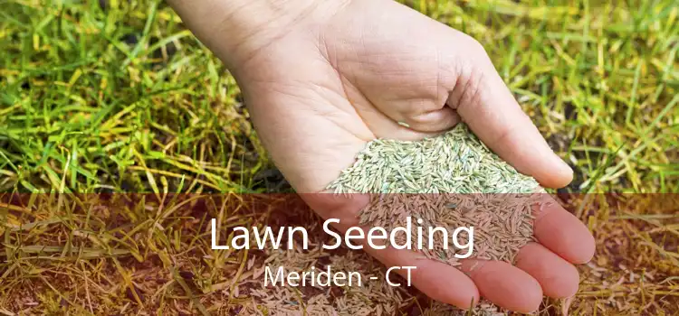 Lawn Seeding Meriden - CT