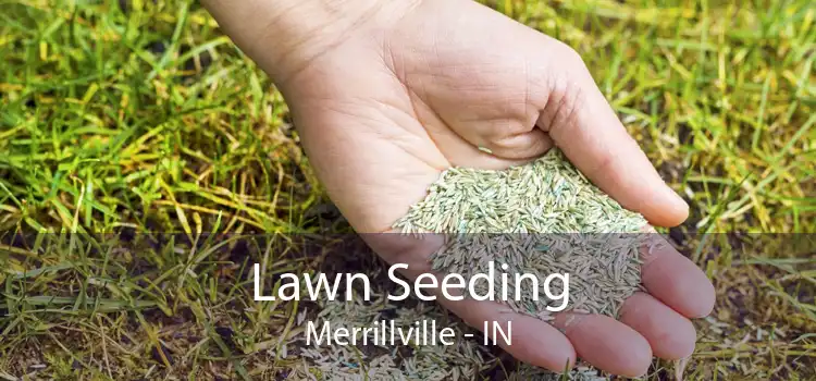 Lawn Seeding Merrillville - IN