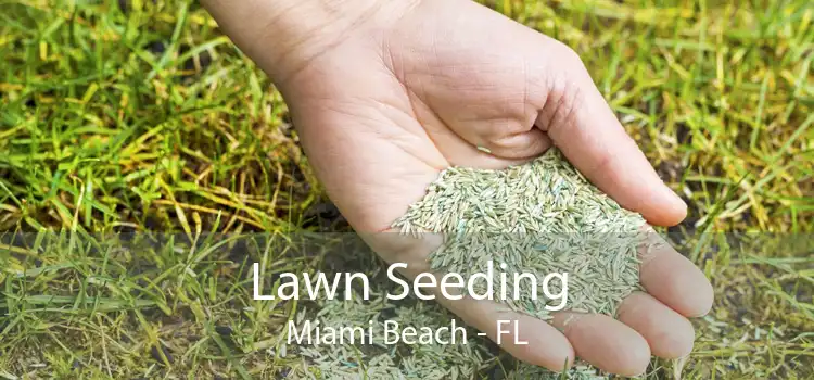 Lawn Seeding Miami Beach - FL