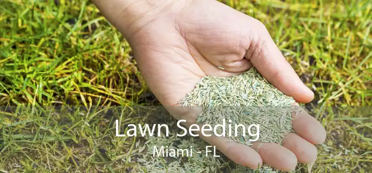 Lawn Seeding Miami - FL