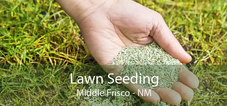 Lawn Seeding Middle Frisco - NM