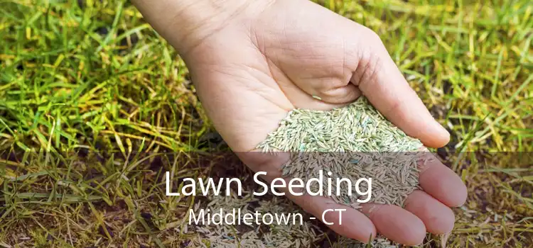 Lawn Seeding Middletown - CT