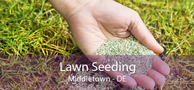 Lawn Seeding Middletown - DE