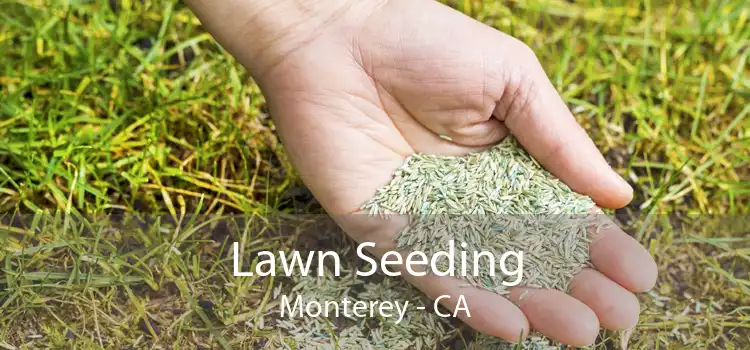 Lawn Seeding Monterey - CA