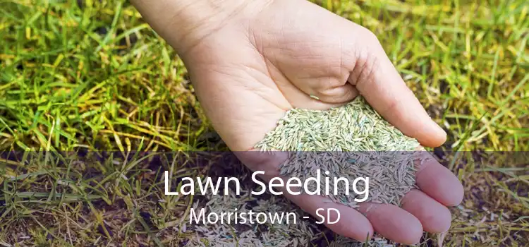 Lawn Seeding Morristown - SD