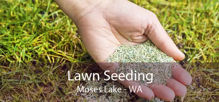 Lawn Seeding Moses Lake - WA