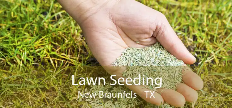 Lawn Seeding New Braunfels - TX