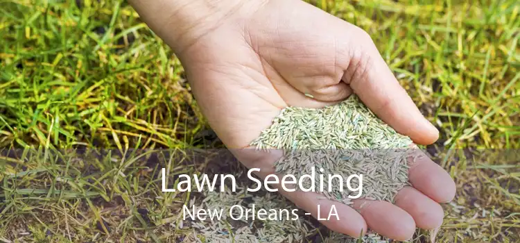 Lawn Seeding New Orleans - LA