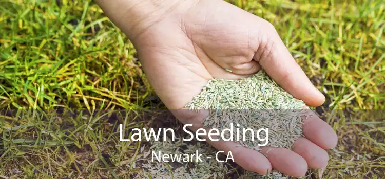 Lawn Seeding Newark - CA