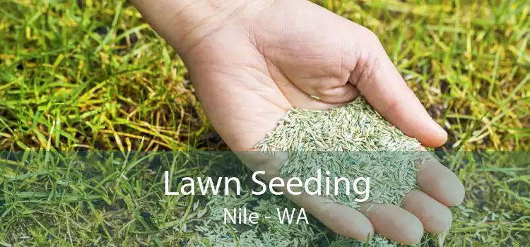 Lawn Seeding Nile - WA