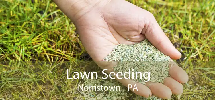 Lawn Seeding Norristown - PA
