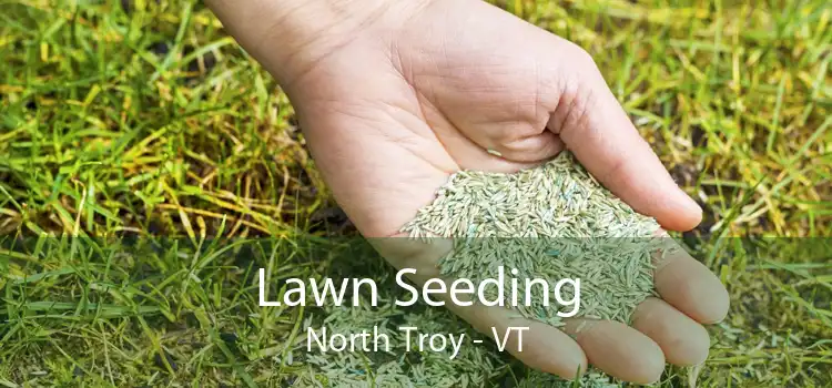  Lawn Seeding North Troy - VT
