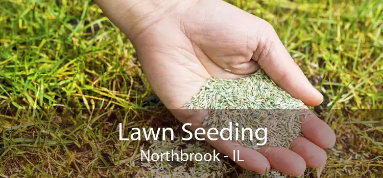 Lawn Seeding Northbrook - IL
