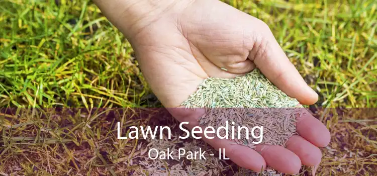Lawn Seeding Oak Park - IL