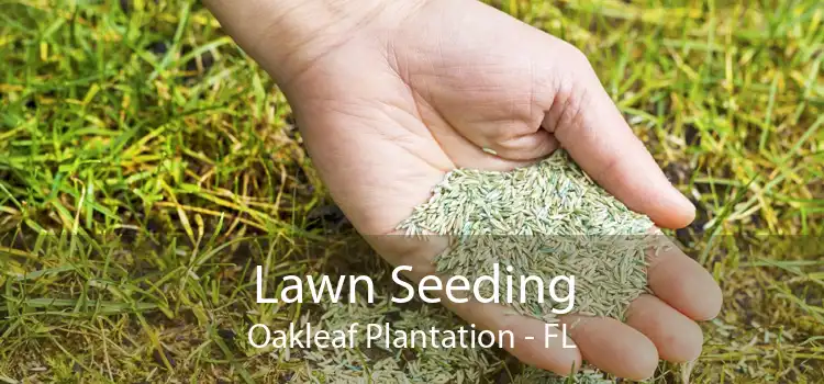 Lawn Seeding Oakleaf Plantation - FL