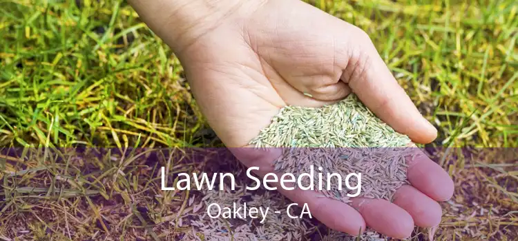 Lawn Seeding Oakley - CA
