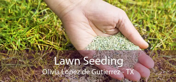 Lawn Seeding Olivia Lopez de Gutierrez - TX