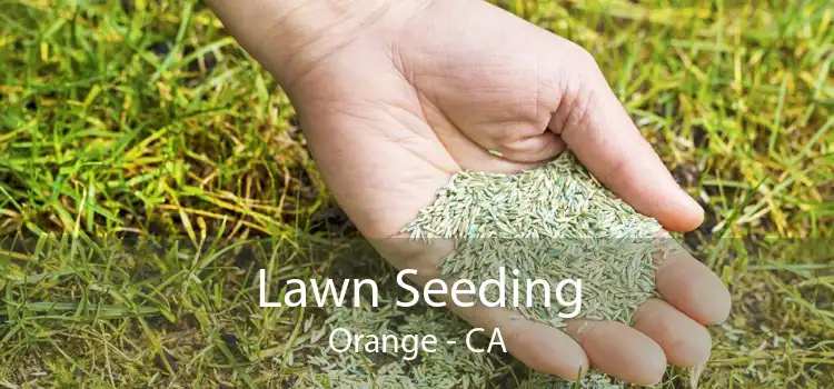  Lawn Seeding Orange - CA