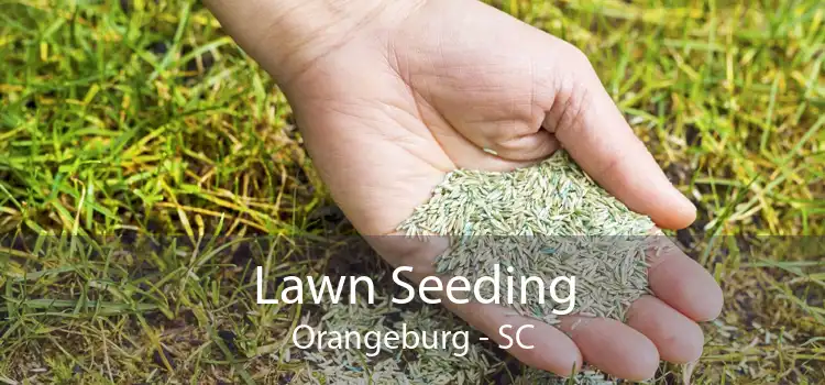 Lawn Seeding Orangeburg - SC