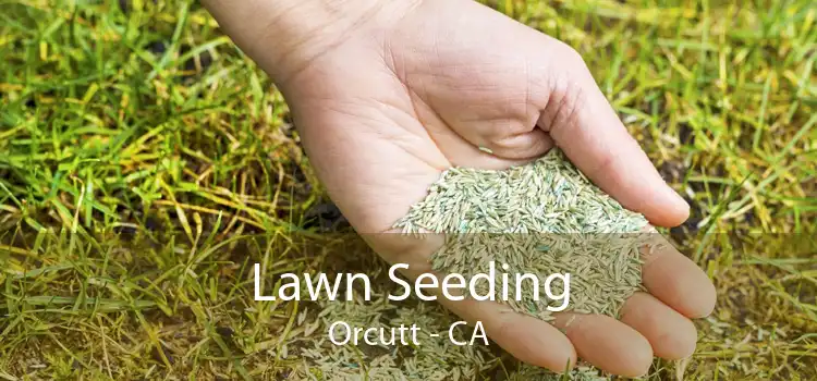 Lawn Seeding Orcutt - CA