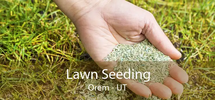 Lawn Seeding Orem - UT