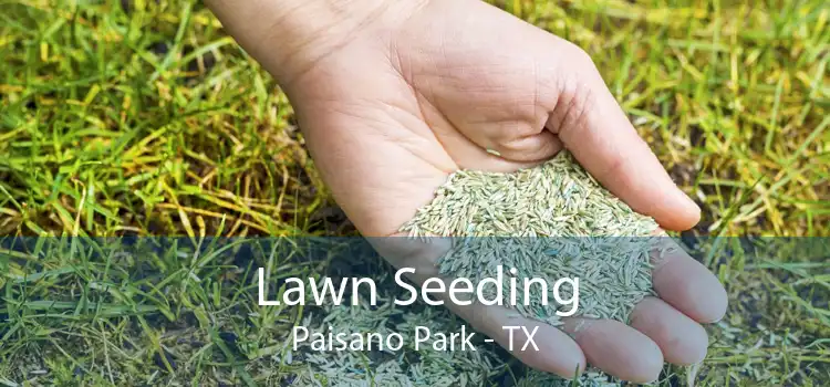 Lawn Seeding Paisano Park - TX