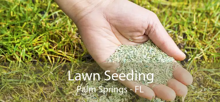 Lawn Seeding Palm Springs - FL