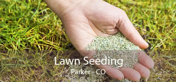 Lawn Seeding Parker - CO