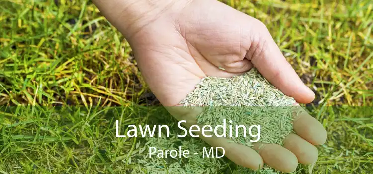  Lawn Seeding Parole - MD