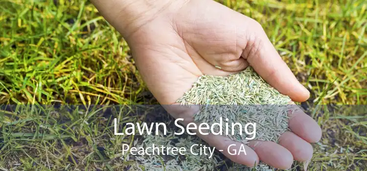 Lawn Seeding Peachtree City - GA
