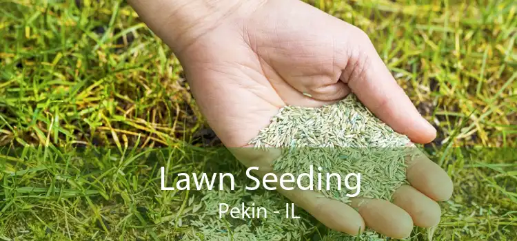 Lawn Seeding Pekin - IL