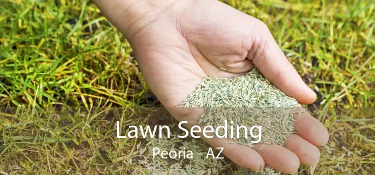 Lawn Seeding Peoria - AZ