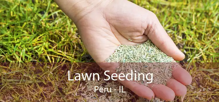 Lawn Seeding Peru - IL