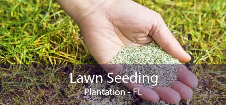 Lawn Seeding Plantation - FL