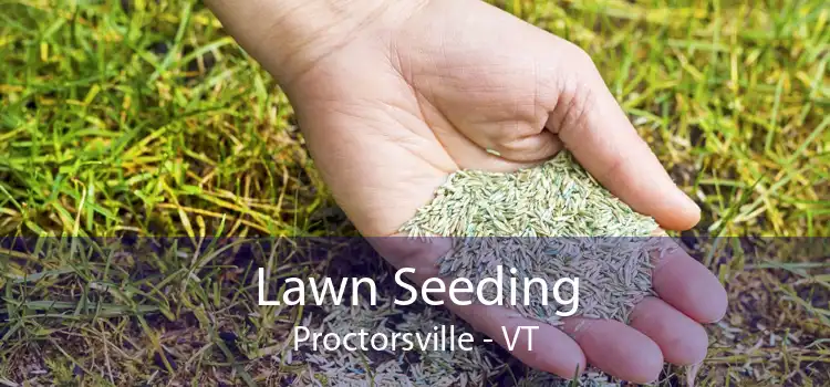 Lawn Seeding Proctorsville - VT