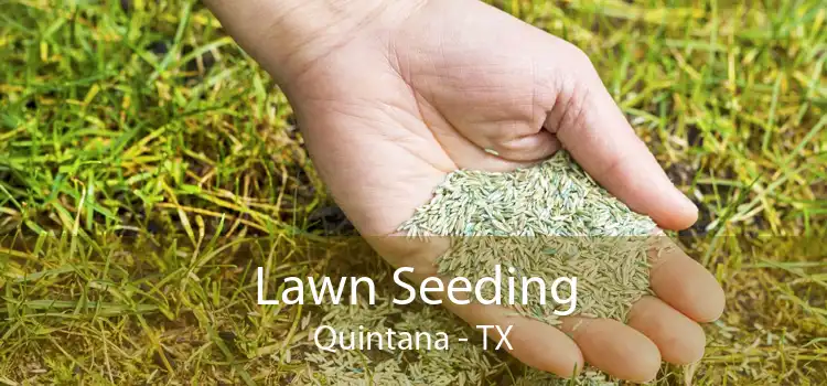 Lawn Seeding Quintana - TX