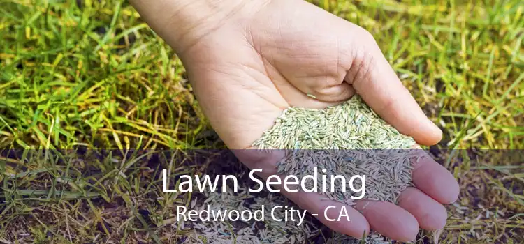 Lawn Seeding Redwood City - CA