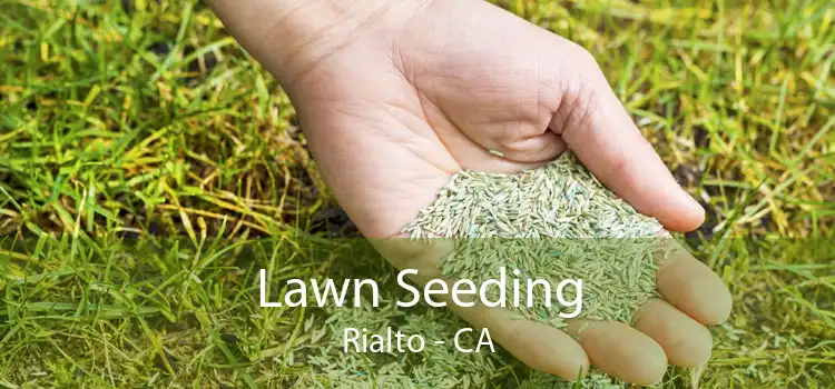 Lawn Seeding Rialto - CA