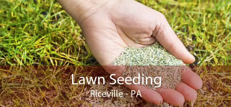 Lawn Seeding Riceville - PA