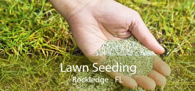 Lawn Seeding Rockledge - FL