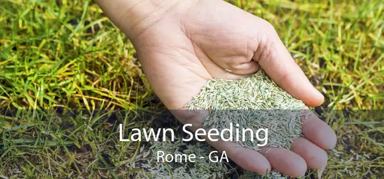 Lawn Seeding Rome - GA