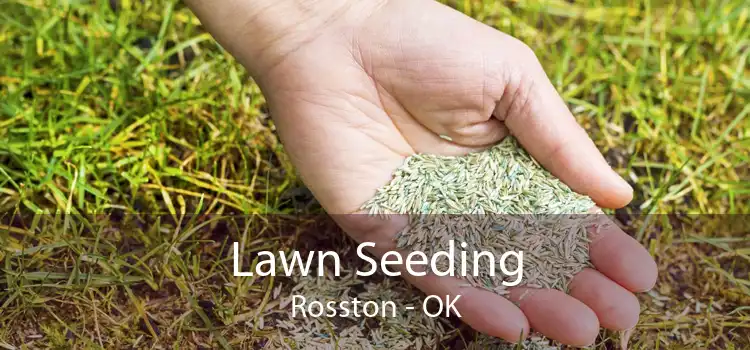 Lawn Seeding Rosston - OK